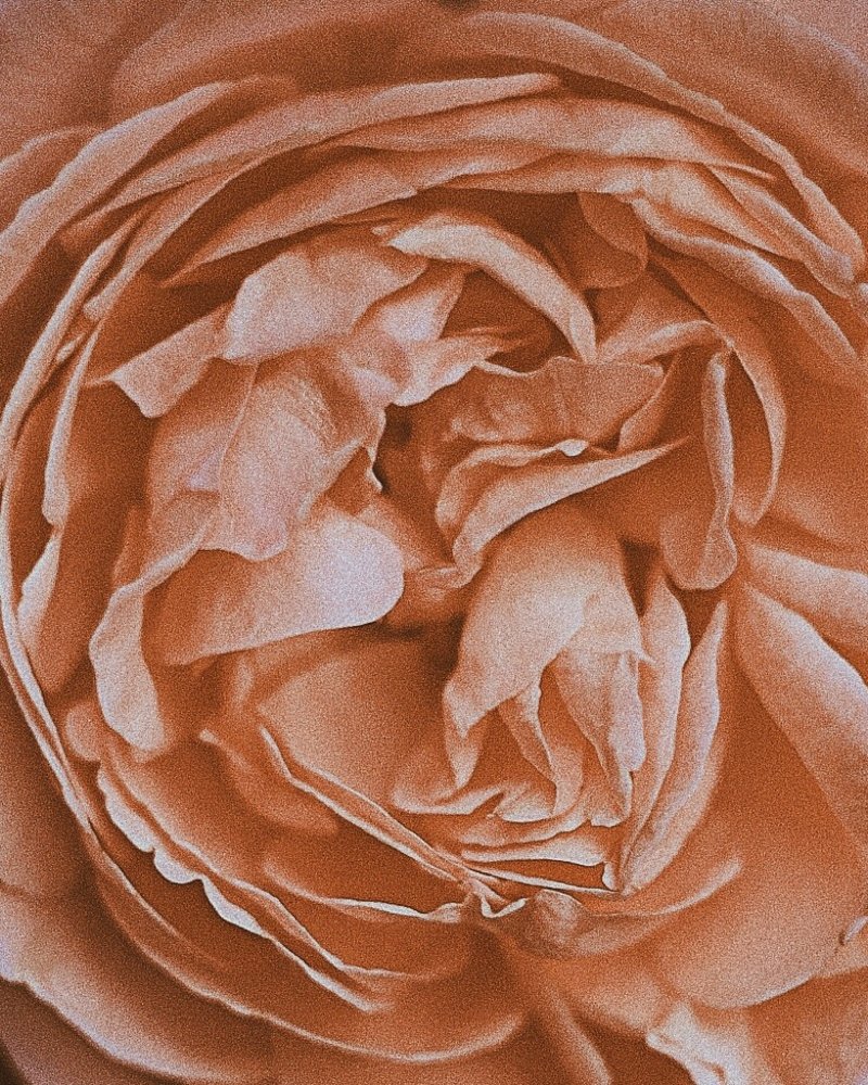 Photograph by Татьяна