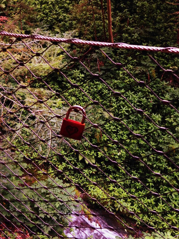 Photograph by Zsofia Schmidt-Mudik