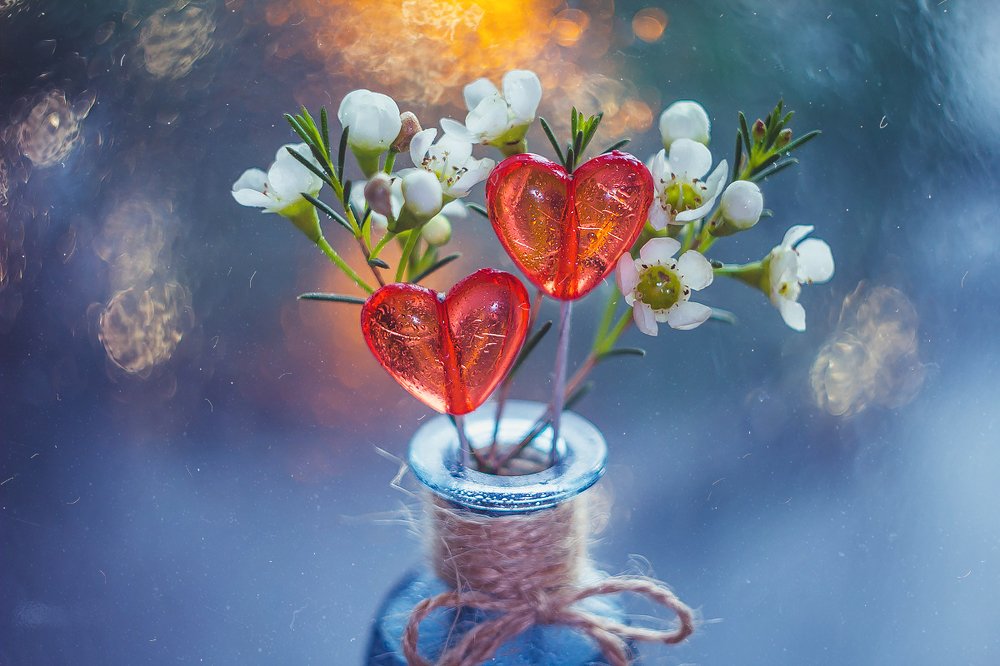 Photograph by Алла Семенова