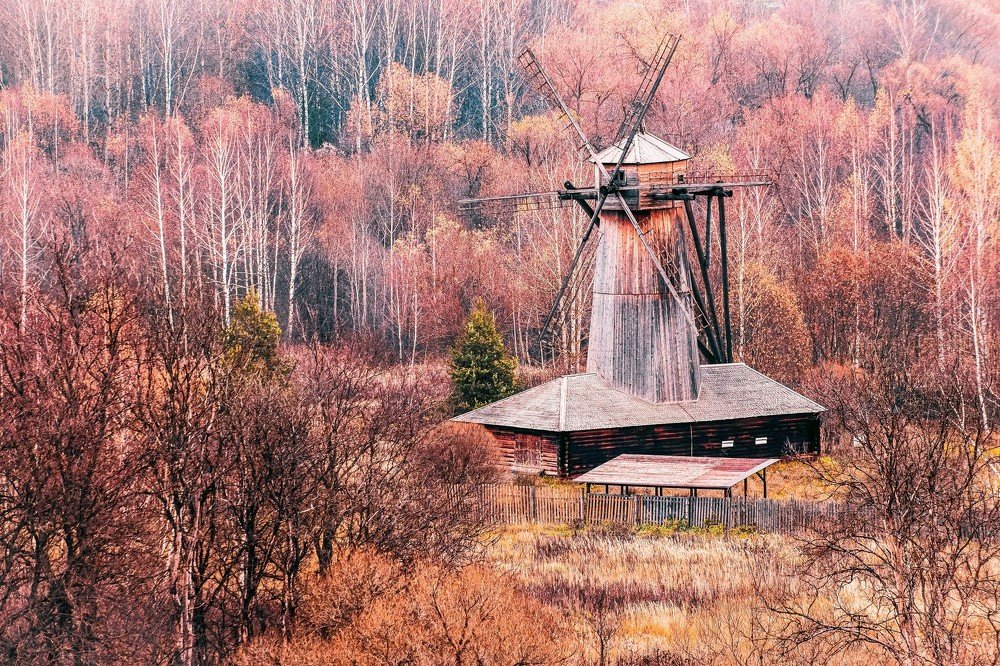 В багровых тонах