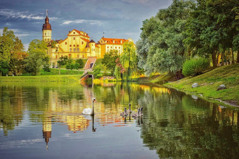 Лебединое утро