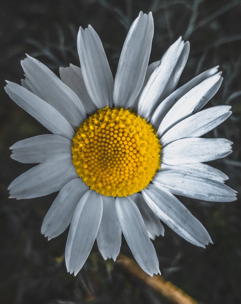 Photograph by Айшат Чупанова
