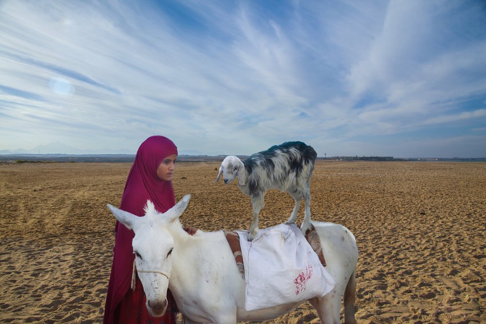 Юная бедуинка