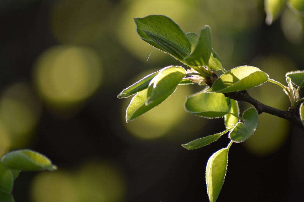 Photograph by Татьяна Кабанец