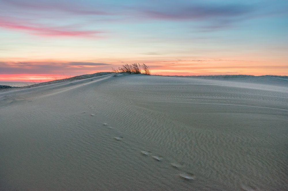 Предрассветное в песках Куршской косы