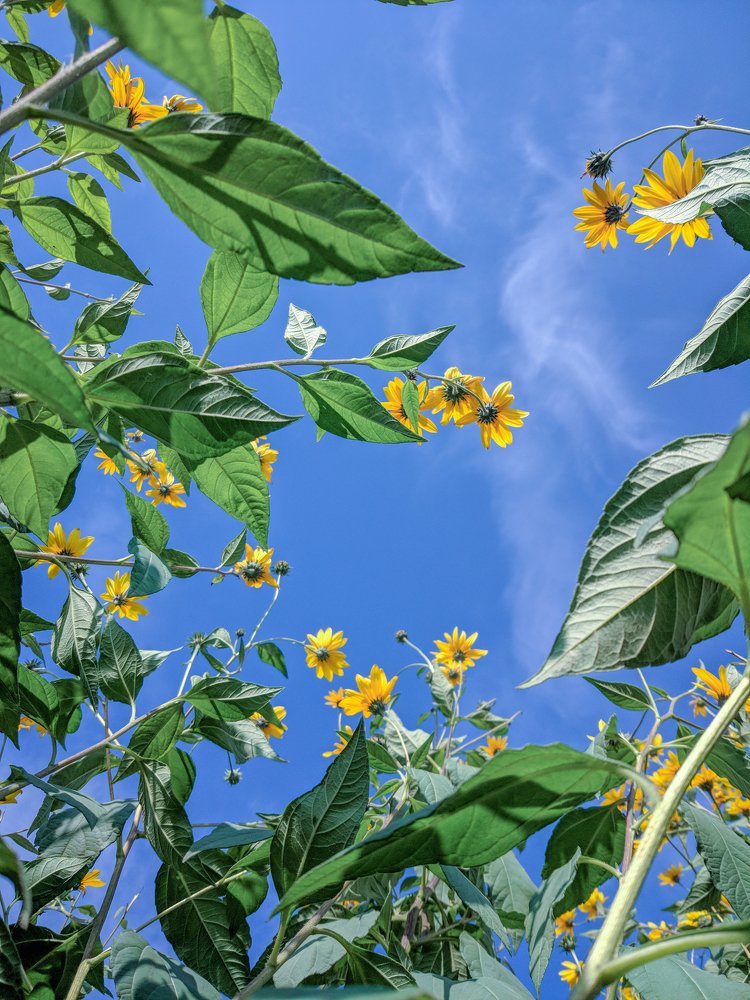 Photograph by Наталья Брунилина