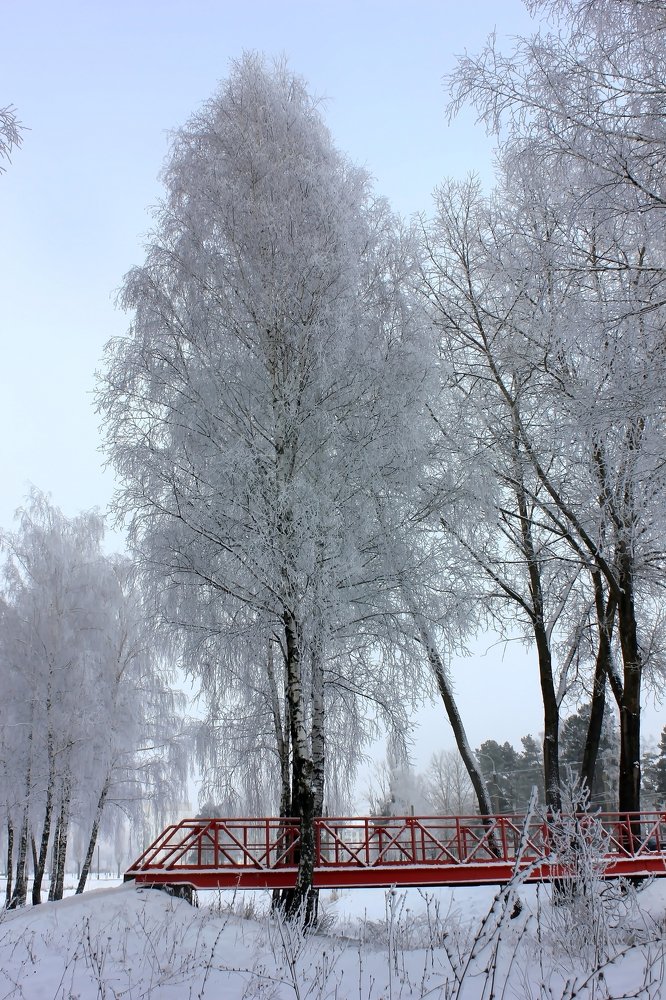 Photograph by Ольга Белостоцкая