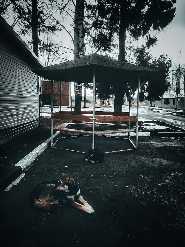 Photograph by Айша
