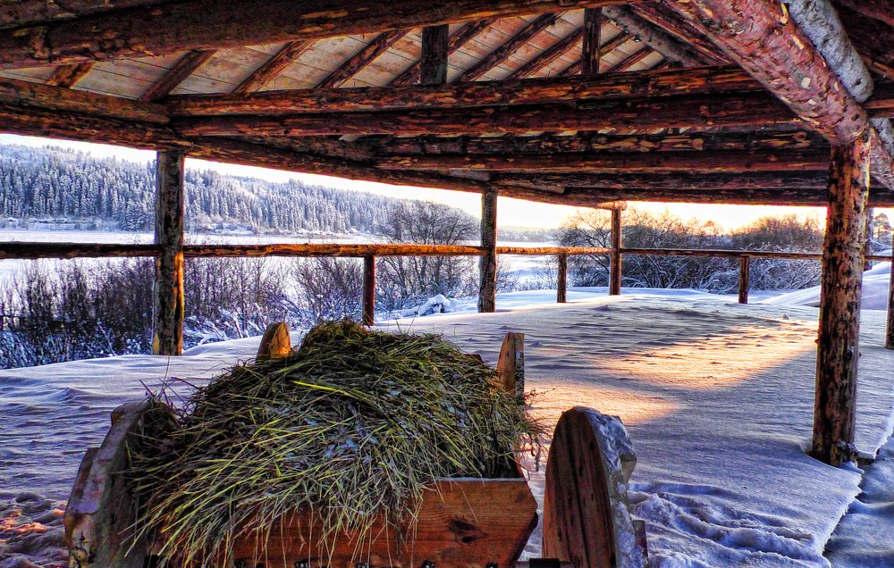 Деревня викингов