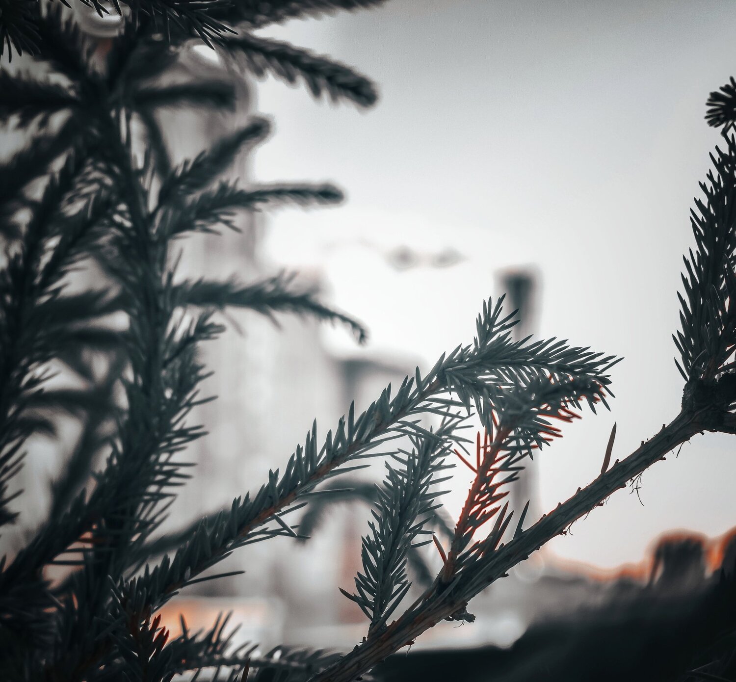 Photo #4326835