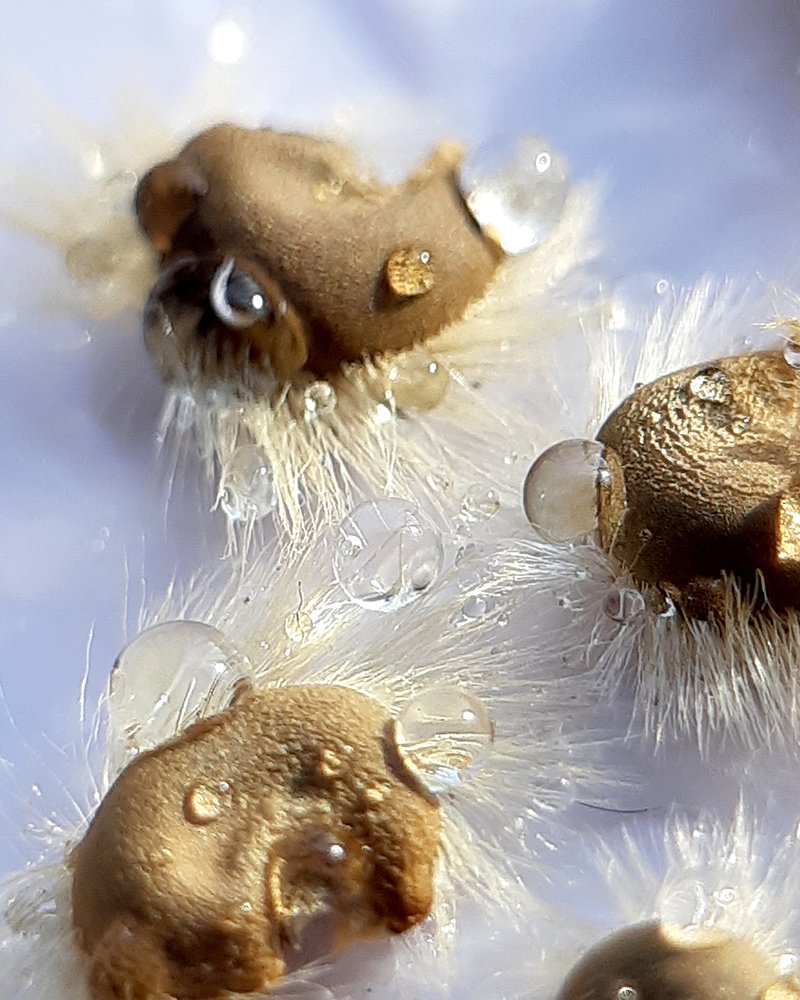 Photograph by Inessa Botasheva