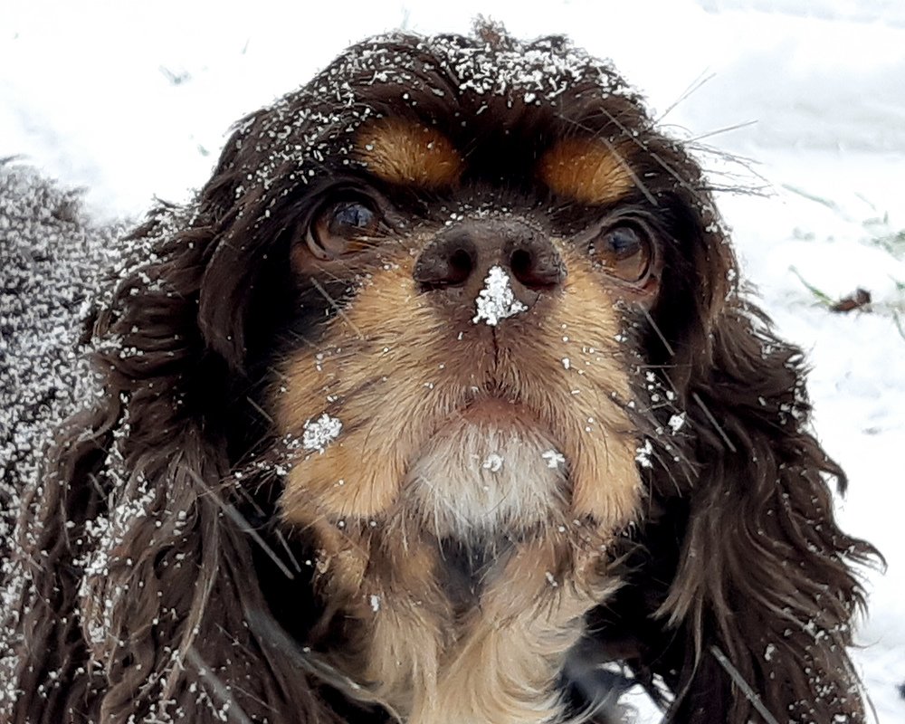 Photograph by Inessa Botasheva