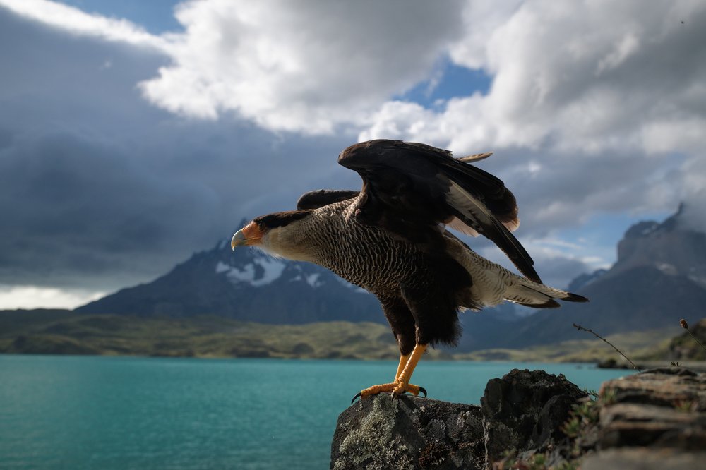 Взлёт разрешён