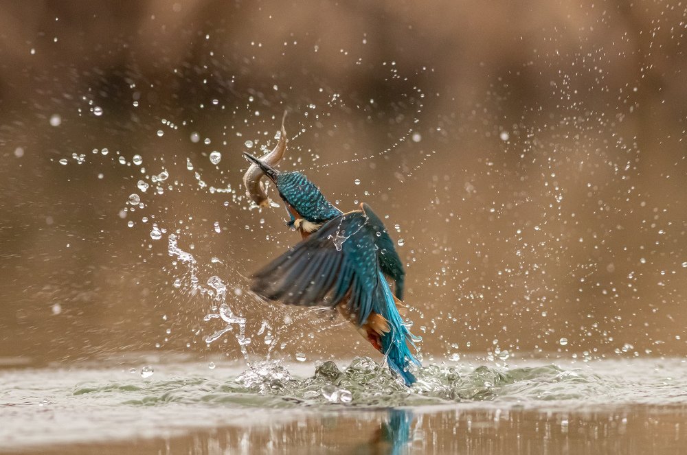 Photograph by Erika Katics