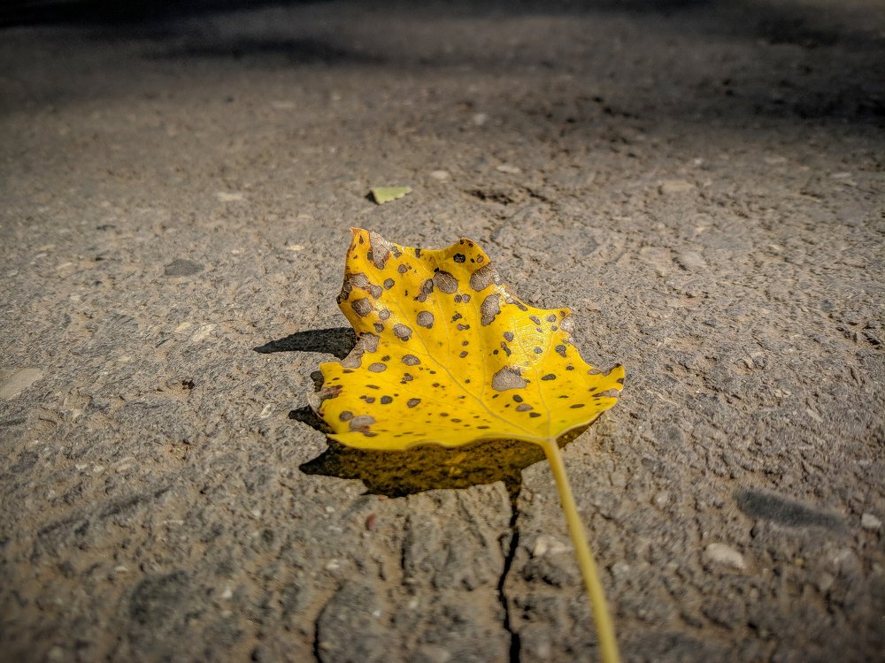 Photograph by Наталья Брунилина