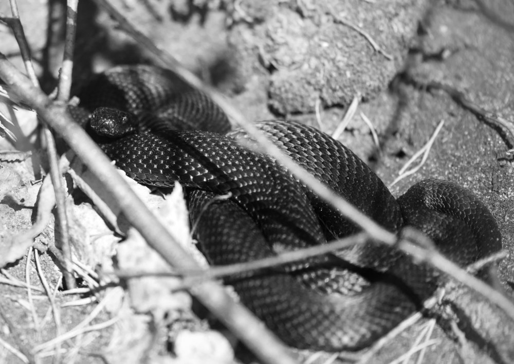 Photograph by Елена Васильева