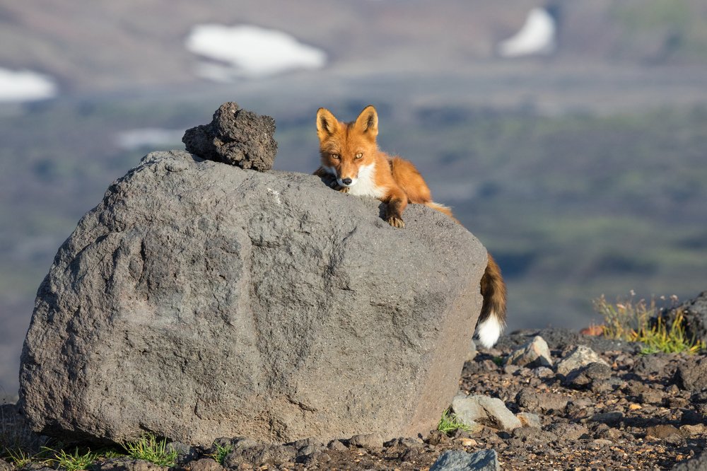 Photograph by Надежда Хаустова