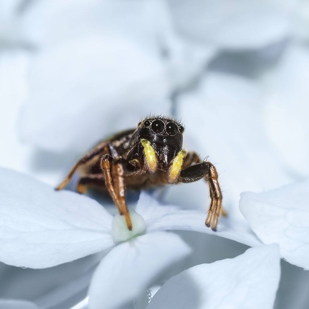 Photograph by Марина Багрова