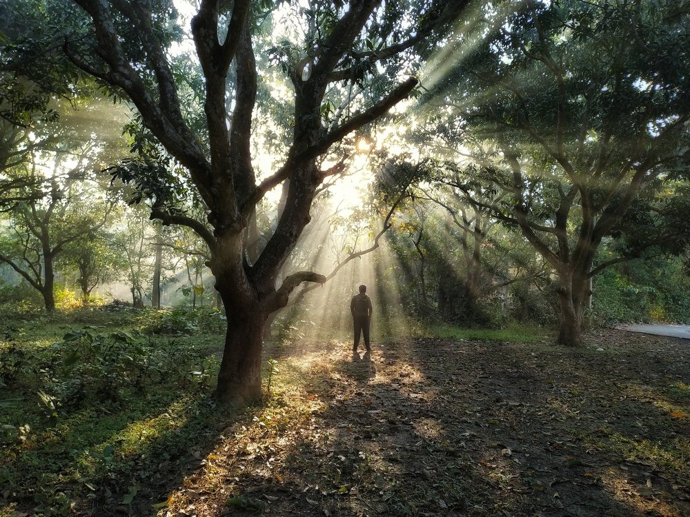 Let there be Light