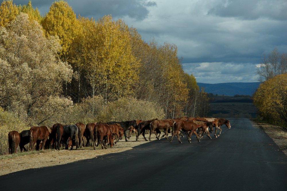 Photograph by Жмакин Михаил