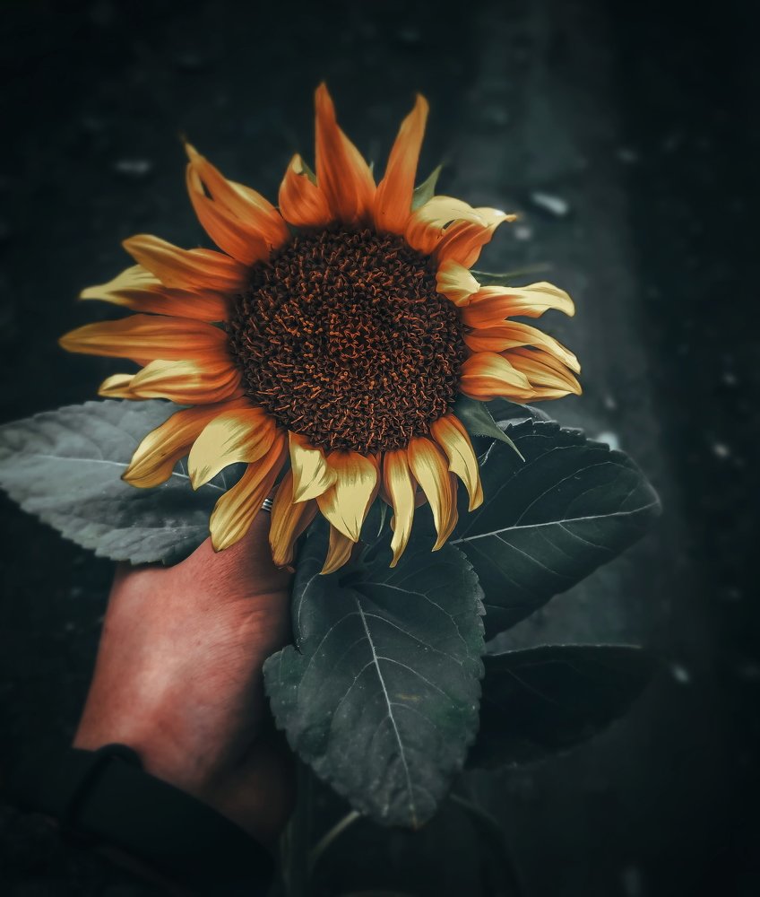 Photograph by Айшат Чупанова