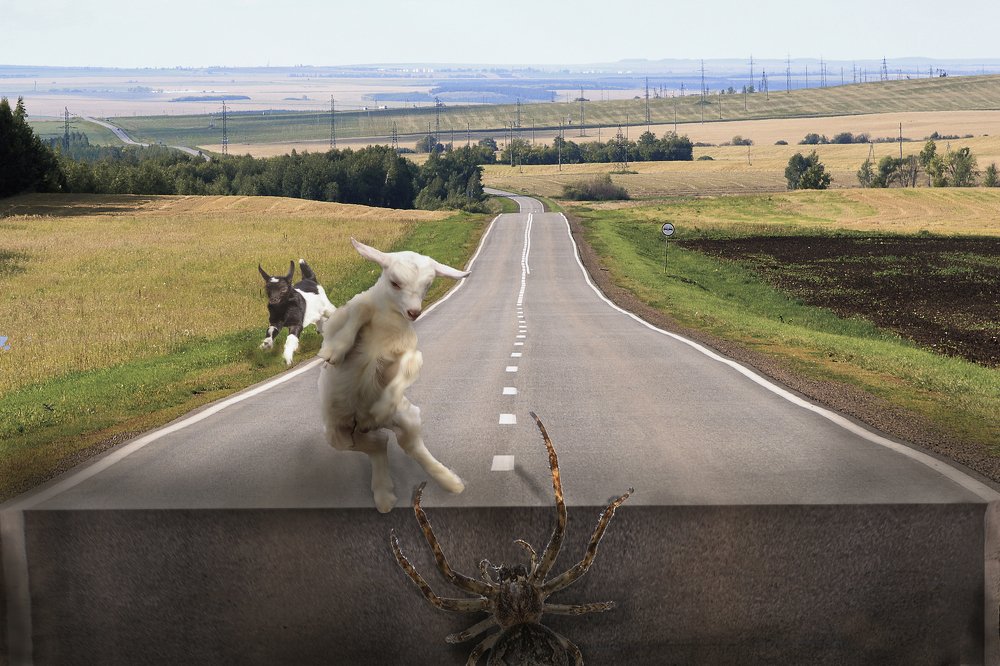 Фотография автора Рамиль Фаттахов