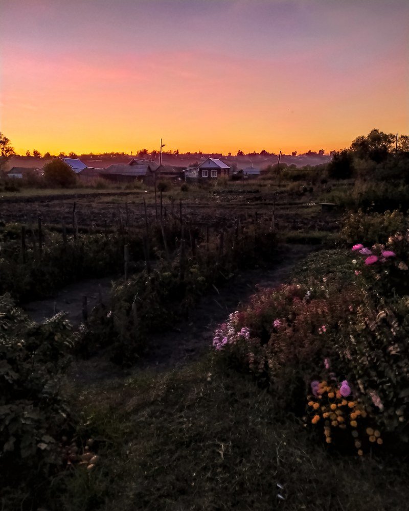 Photograph by Юлия Плаксина