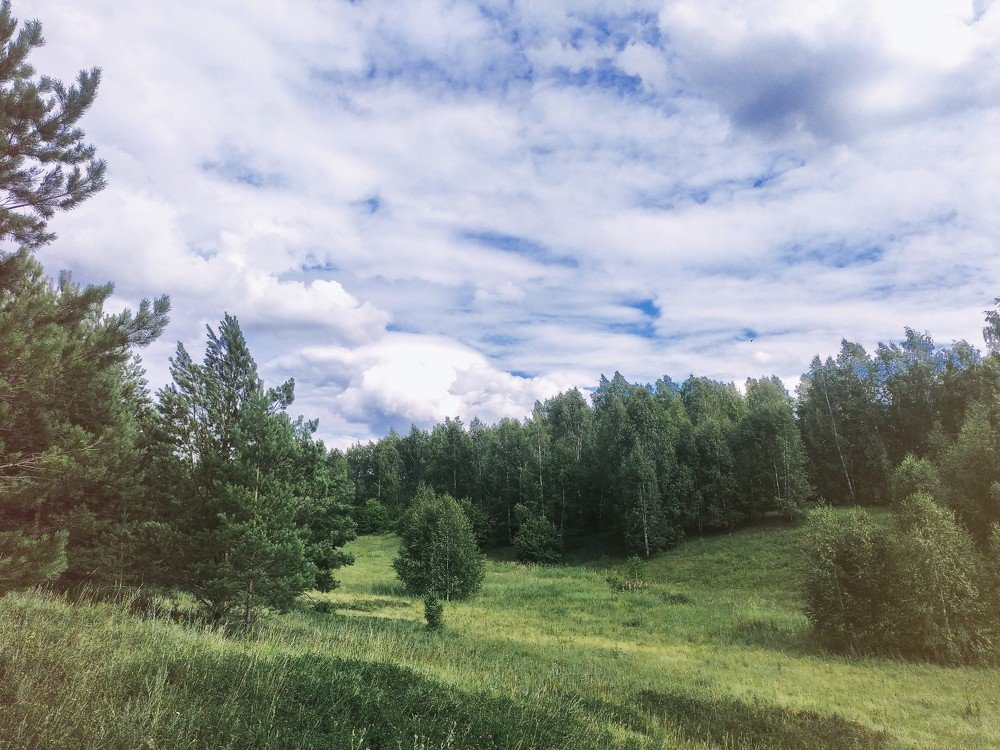 Photograph by Юлия Плаксина