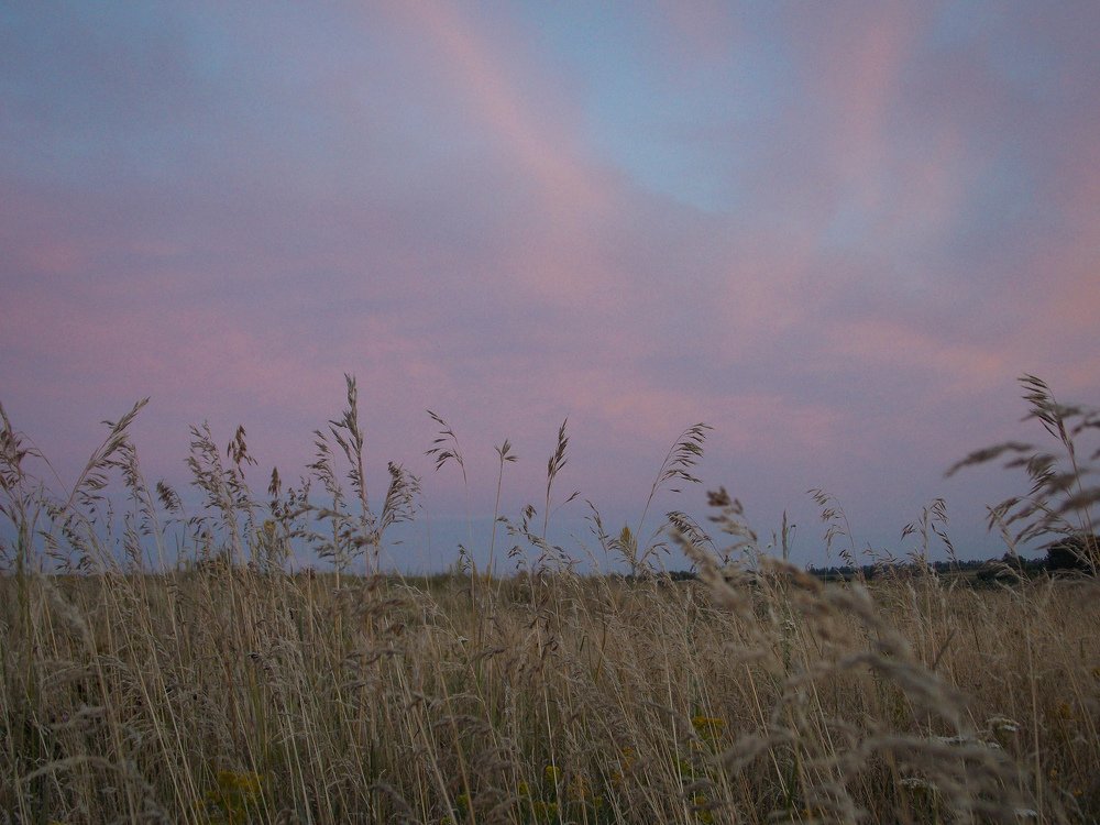 Photograph by Жмырева Елена