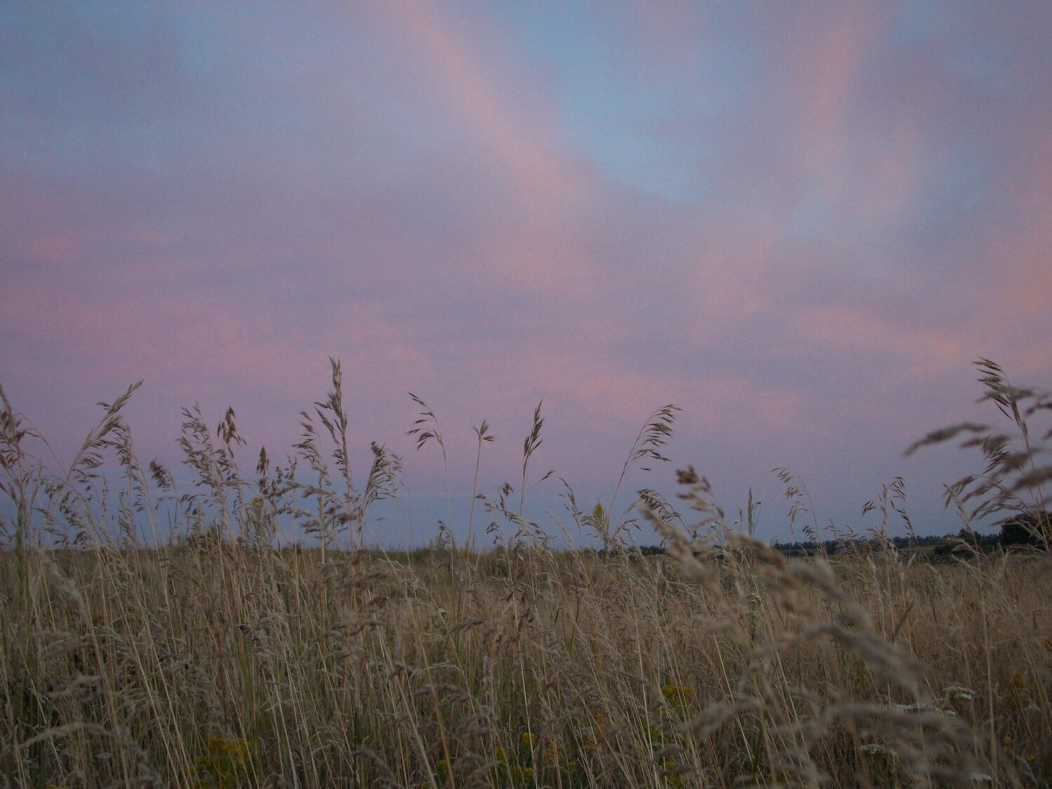 Photo #4327320