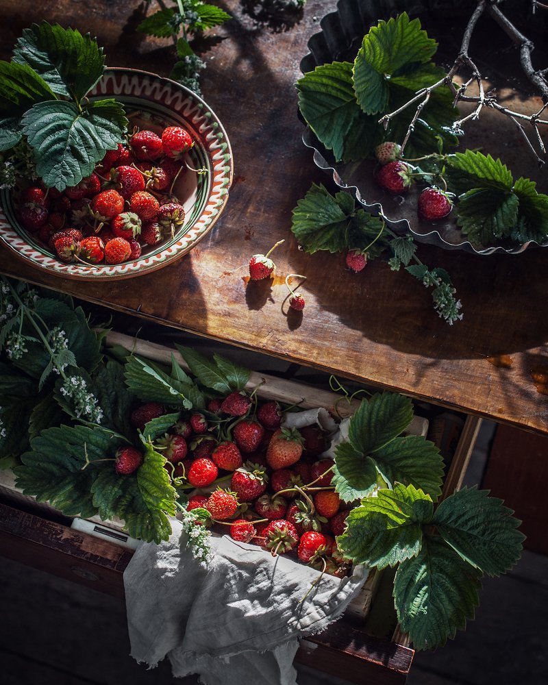 Photograph by Леонид Снег