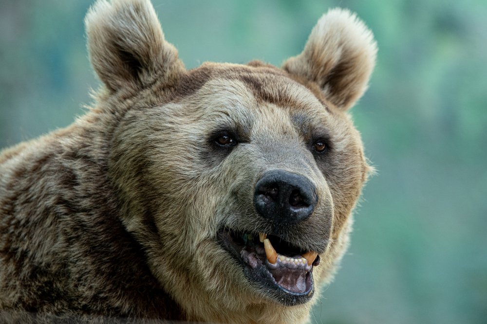 Photograph by Михаил Колесников