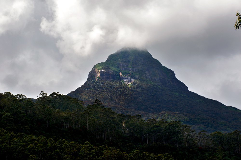Photograph by Полина Зенькович