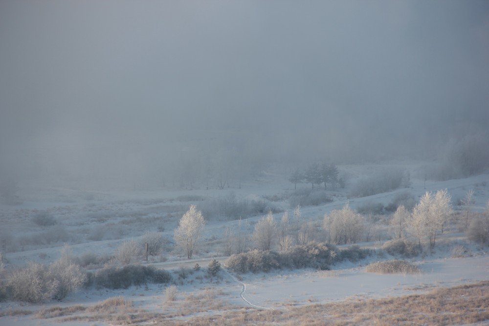 Photograph by Sofya Seredkina