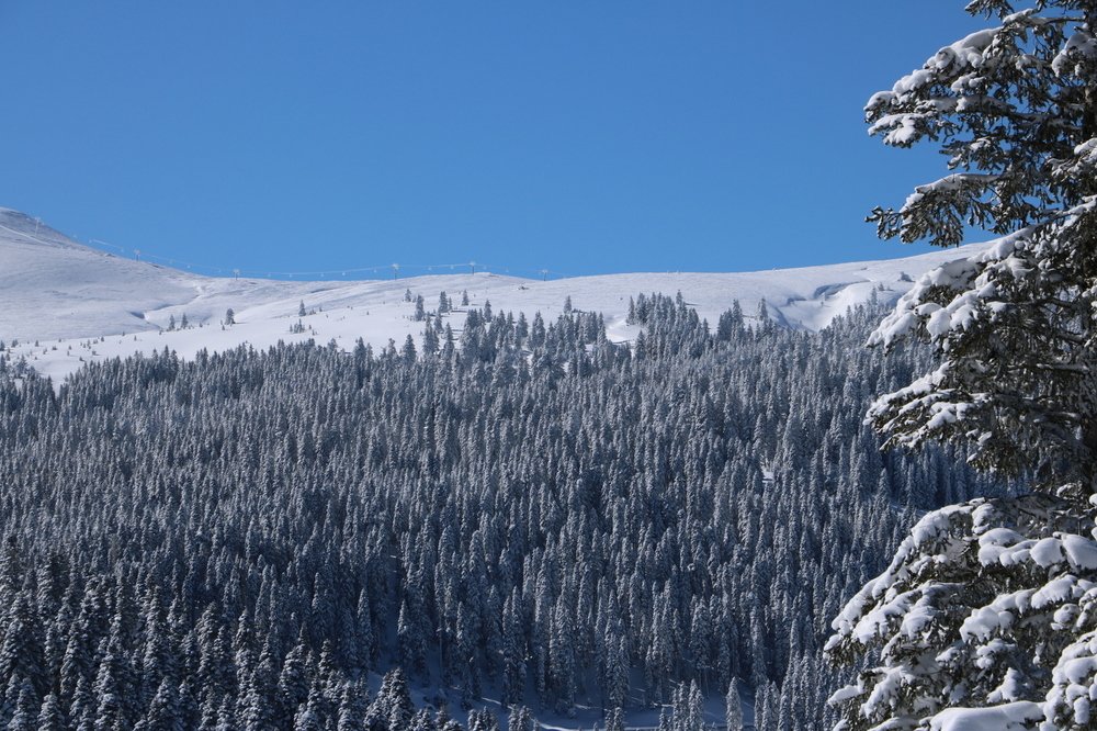 Photograph by Cengiz Yalcin