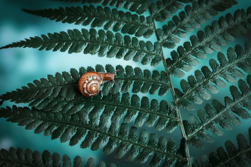 Photograph by Марина Багрова