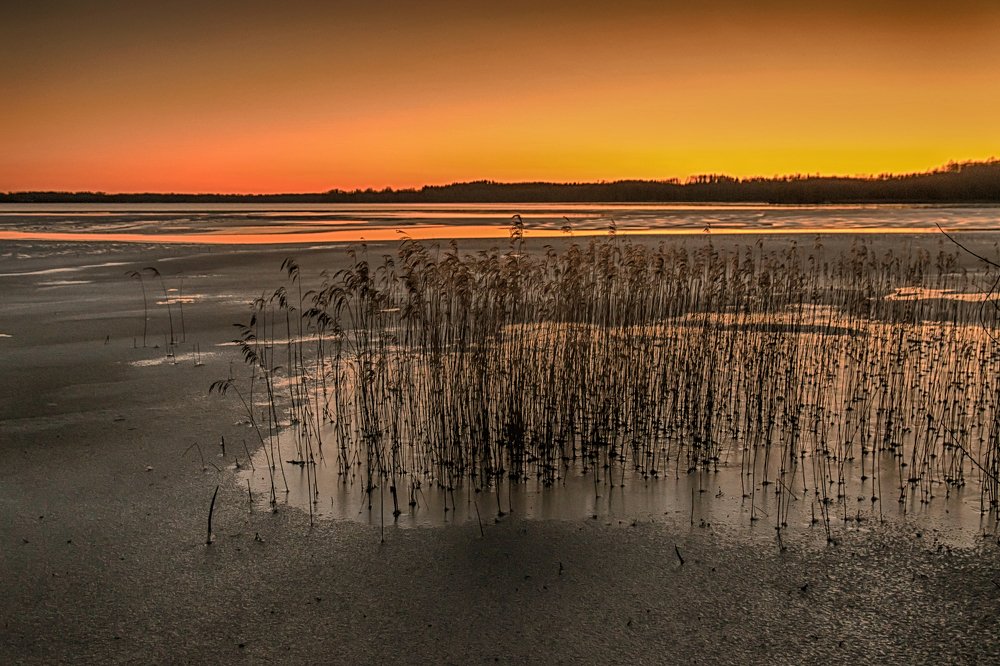 Photograph by Gaļina