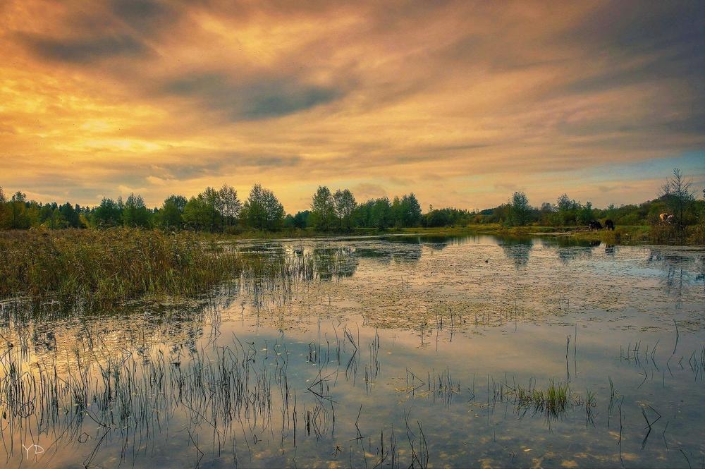 Photograph by Дмитрий Янтарев