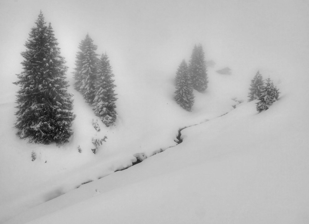 Photo #4327586