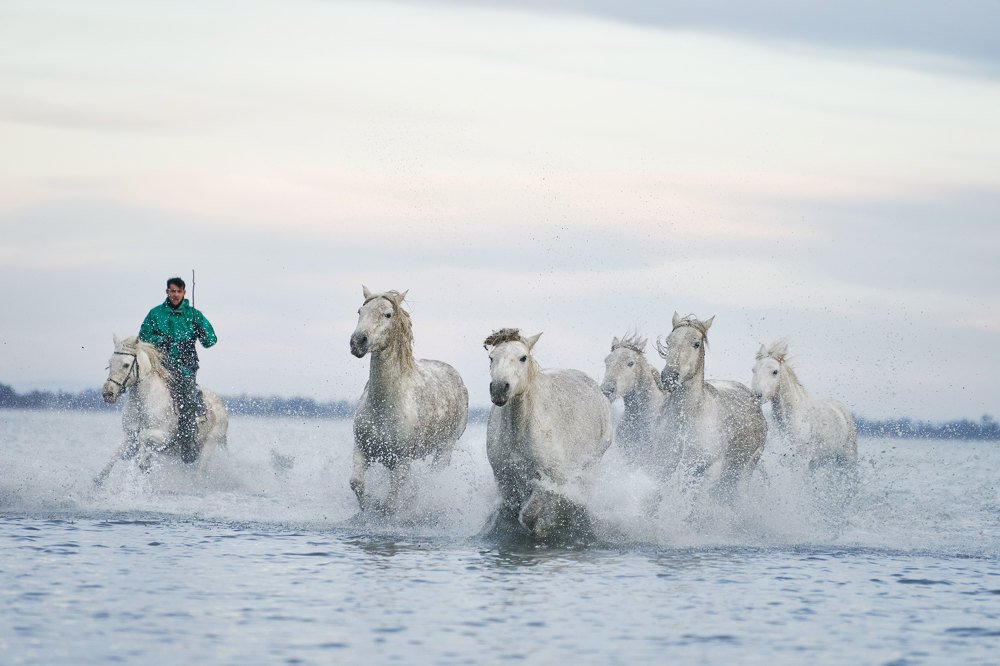 Photograph by Jevgenija Sepeliova