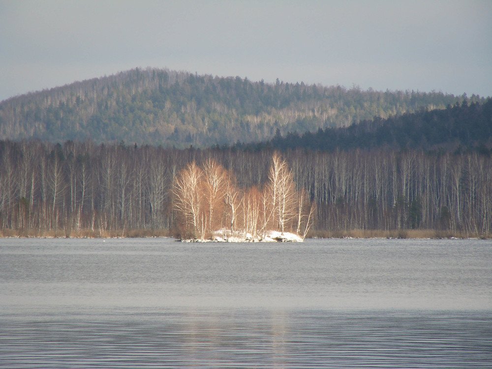 В луче света