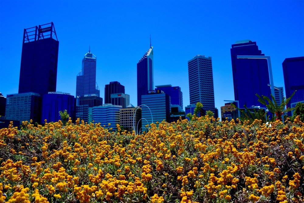 Весна в мегаполисе