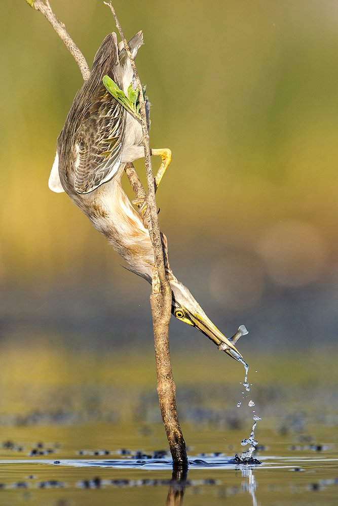 Photograph by Andrés Ruggeri