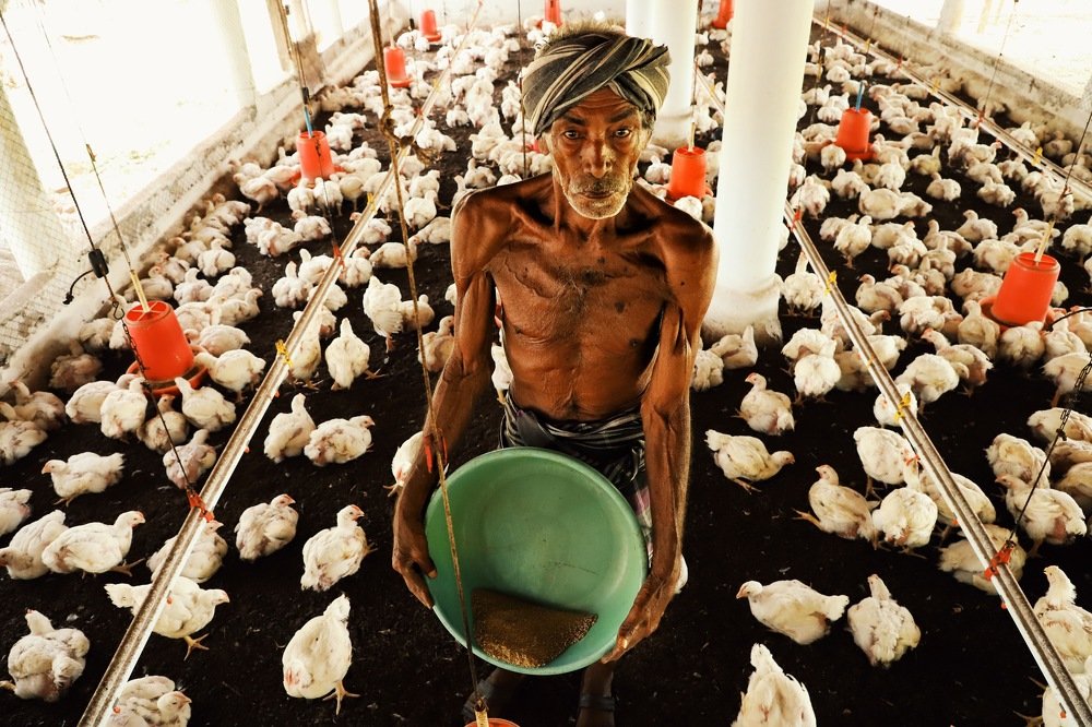 Photograph by Rama Kaushalyan