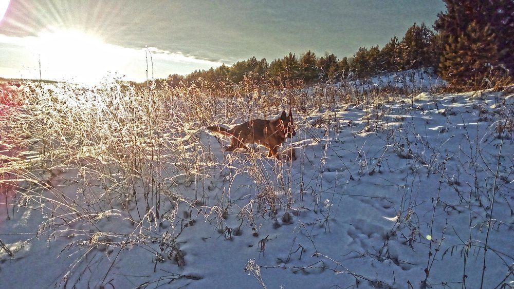 Photo #4327869