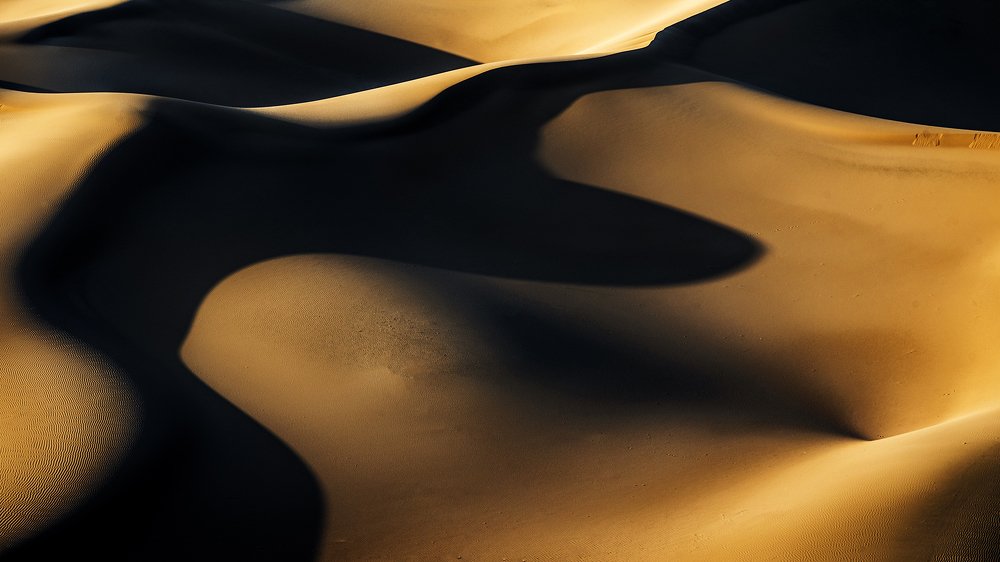 Photograph by Simin Mohit