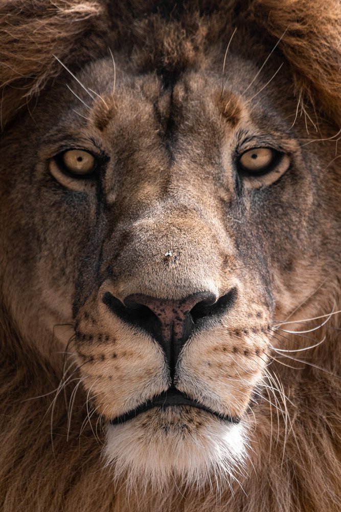 Photograph by Михаил Колесников