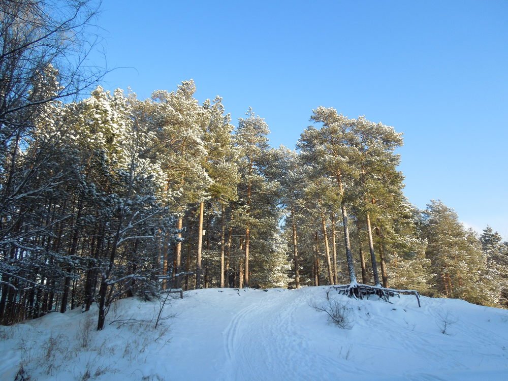 Photograph by Елена Болтенкова