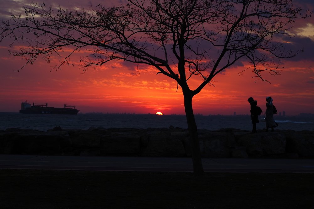 Photograph by GUNSEL SECKİNER