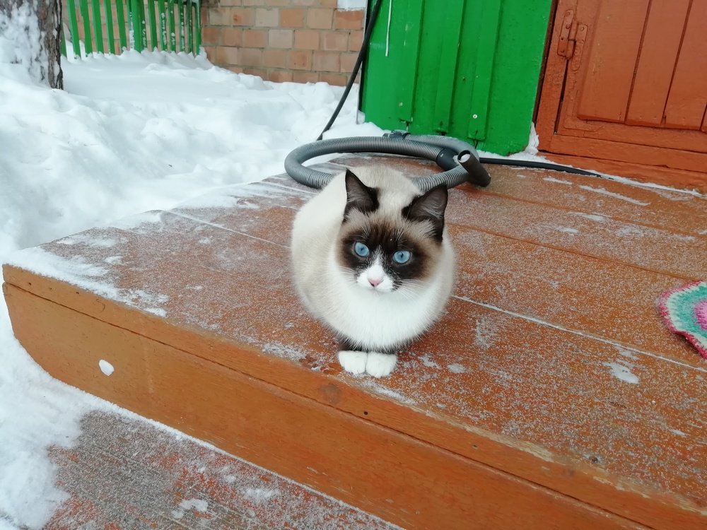 Photo #4328154